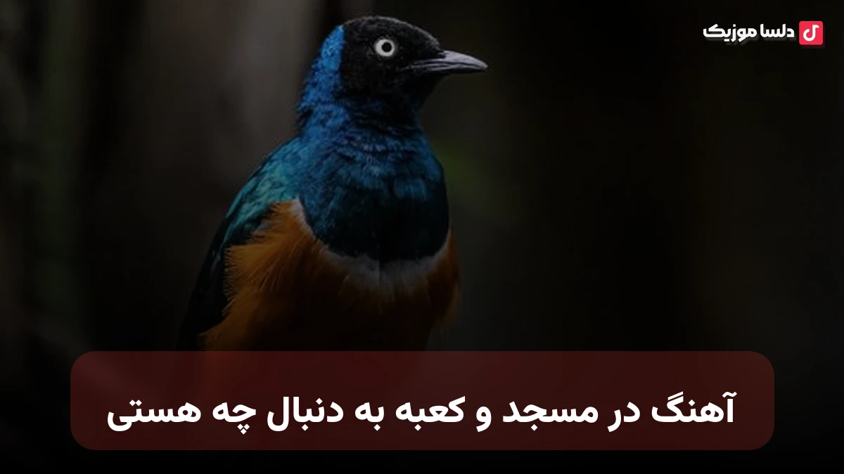  در مسجد و کعبه به دنبال چه هستی صدای زن هوش مصنوعی